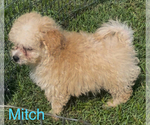 Image preview for Ad Listing. Nickname: Mitch
