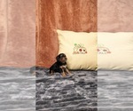 - Photo #8