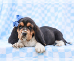 Image preview for Ad Listing. Nickname: Edgar
