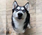 Small #3 Breeder Profile image