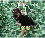 Image preview for Ad Listing. Nickname: Nona