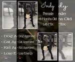 Small #1 Labrador Retriever Mix