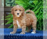 Image preview for Ad Listing. Nickname: Nelly
