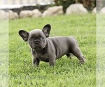 Image preview for Ad Listing. Nickname: Tessa