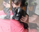 Small #2 Boxer