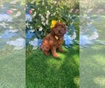 Image preview for Ad Listing. Nickname: Ella