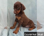 Image preview for Ad Listing. Nickname: Laveren