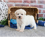 Image preview for Ad Listing. Nickname: Callum