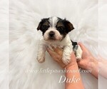 Image preview for Ad Listing. Nickname: Duke