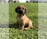 Image preview for Ad Listing. Nickname: Thelma
