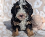 Image preview for Ad Listing. Nickname: Willow