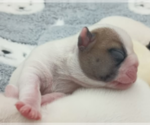 Image preview for Ad Listing. Nickname: Baby