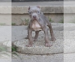 Image preview for Ad Listing. Nickname: Iris