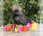 Image preview for Ad Listing. Nickname: Tessa