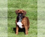 Image preview for Ad Listing. Nickname: Alex