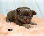 Image preview for Ad Listing. Nickname: Bee