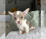 Image preview for Ad Listing. Nickname: Atlas