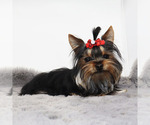 Image preview for Ad Listing. Nickname: Micro Pixel