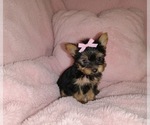 Image preview for Ad Listing. Nickname: kia