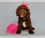 Image preview for Ad Listing. Nickname: Cocoa