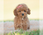  - Photo #2