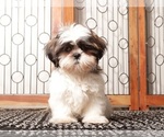Image preview for Ad Listing. Nickname: Litter of 2