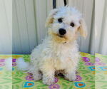 Small #3 Breeder Profile image