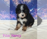 Image preview for Ad Listing. Nickname: Nancy