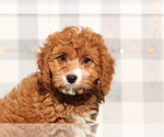 Image preview for Ad Listing. Nickname: Jela