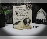 Image preview for Ad Listing. Nickname: Fern