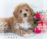 Image preview for Ad Listing. Nickname: Harvey