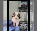 Image preview for Ad Listing. Nickname: Everest