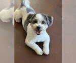Small #1 Poovanese