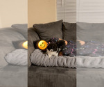 Image preview for Ad Listing. Nickname: Litter of 2