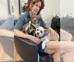Small #3 Chihuahua Mix