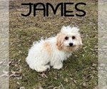 Image preview for Ad Listing. Nickname: James