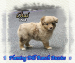 Image preview for Ad Listing. Nickname: Chai