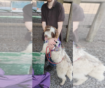 Image preview for Ad Listing. Nickname: Millie