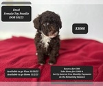 Image preview for Ad Listing. Nickname: Etzel