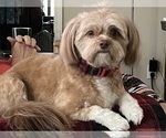 Image preview for Ad Listing. Nickname: Cuties