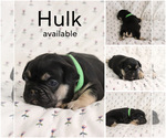 Image preview for Ad Listing. Nickname: Hulk