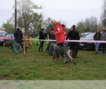 Small #9 Schnauzer (Giant)
