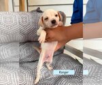 Small Chug