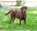 Image preview for Ad Listing. Nickname: Reba