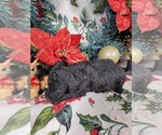  - Photo #2