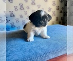 Image preview for Ad Listing. Nickname: Dallas