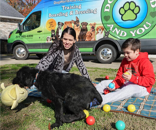 Medium Photo #14 Black Russian Terrier Puppy For Sale in S CHARLESTON, WV, USA