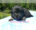 Image preview for Ad Listing. Nickname: Turquoise Water