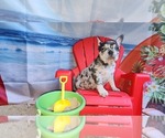 Image preview for Ad Listing. Nickname: Willow