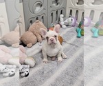Image preview for Ad Listing. Nickname: Theodore